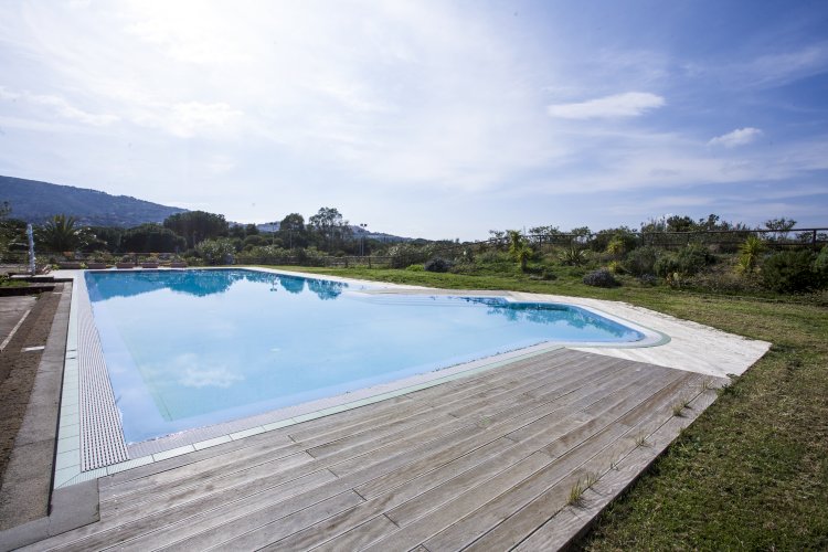 Appartamento Verde Blu 502<